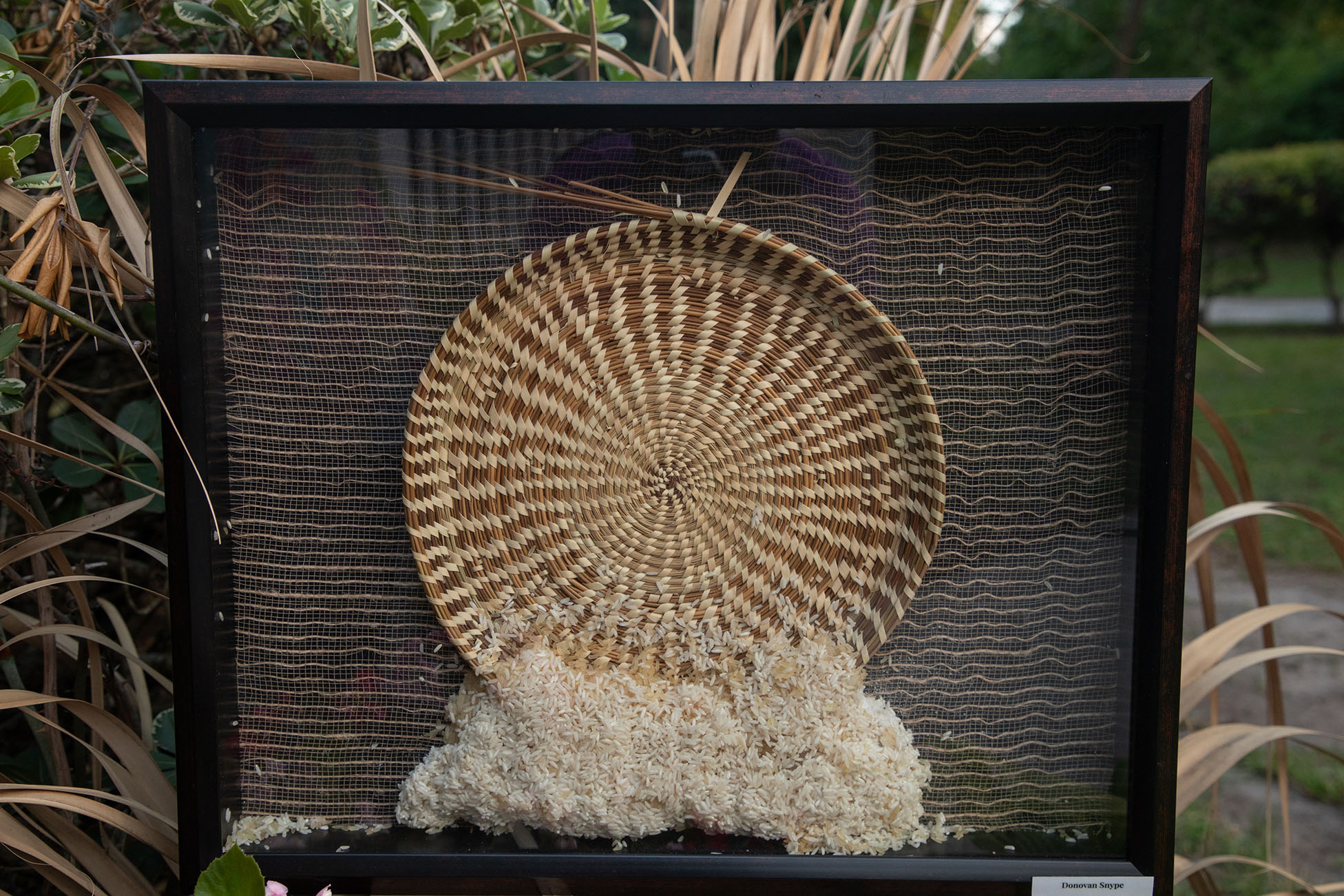 The Story of Rice, Part 2: Abundance — framed sweetgrass rice fanner with loose rice